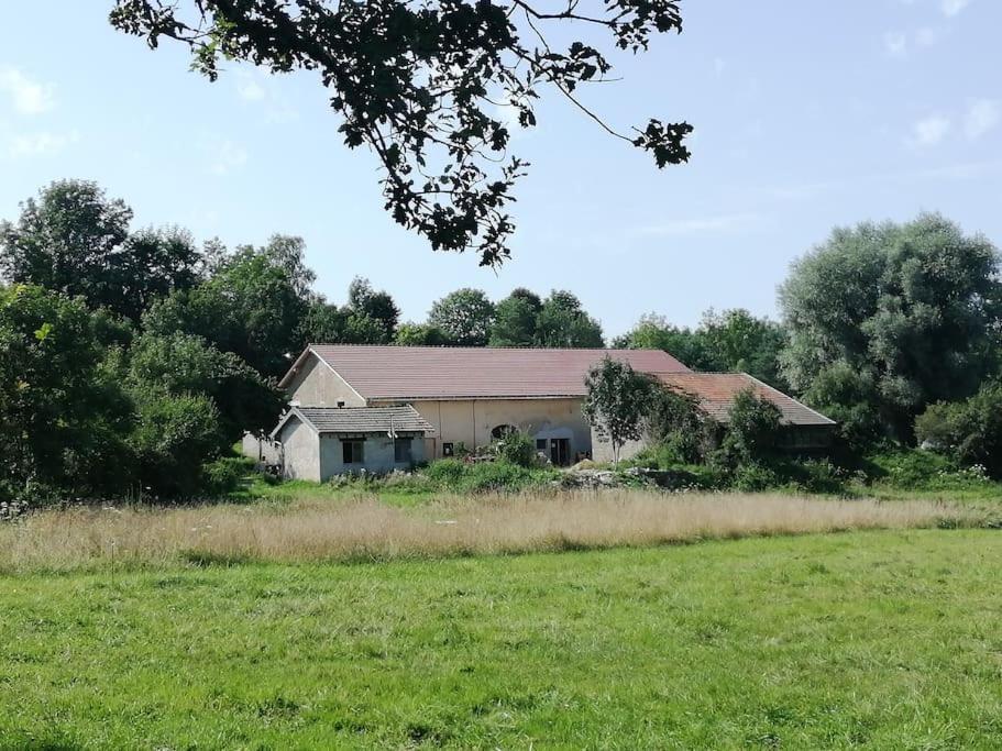 Gites Aux Granges Du Vilaret Clairvaux-les-Lacs Eksteriør billede